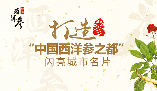 文登西洋參產(chǎn)業(yè)：打造“中國西洋參之都”閃亮城市名片！