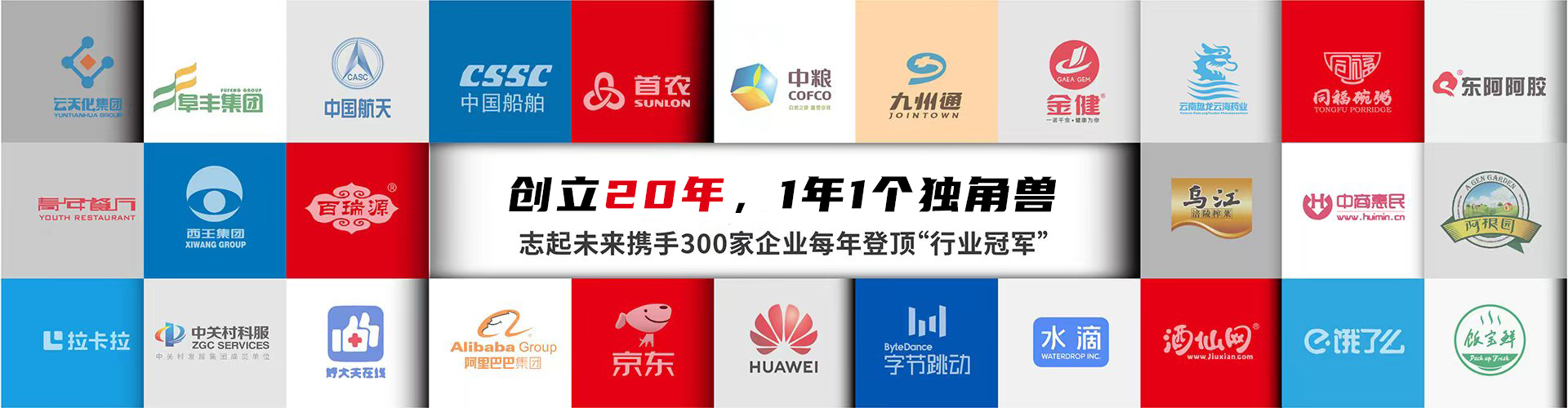 北京志起未來(lái)咨詢(xún)集團(tuán)（簡(jiǎn)稱(chēng)CBCT或志起未來(lái)），成立于2005年，總部位于北京，是一家創(chuàng)新品牌營(yíng)銷(xiāo)策劃公司，入選中國(guó)十大策劃公司，在公司戰(zhàn)略品牌營(yíng)銷(xiāo)、戰(zhàn)略定位、品牌策劃、農(nóng)產(chǎn)品區(qū)域公用品牌等已經(jīng)服務(wù)15年，15年來(lái)致力于企業(yè)、產(chǎn)業(yè)及區(qū)域經(jīng)濟(jì)的發(fā)展研究，為企業(yè)和政府提供決策依據(jù)和資源支持。